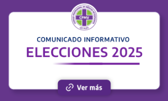 Elecciones 2025