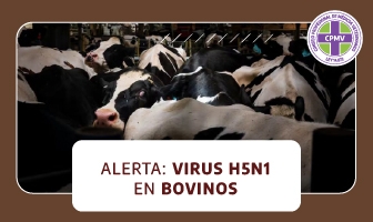 Alerta: Virus H5N1