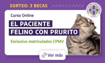 formulario